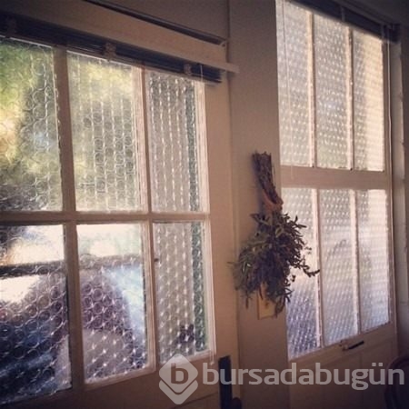 Bunları biliyor muydunuz? 
