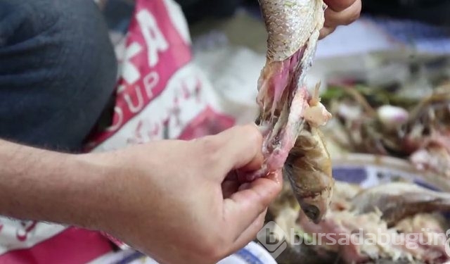 Bu yemek doğru hazırlanmazsa öldürüyor! 