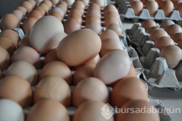 Yumurta kabuğunu fırına koyun sonra da fırında pişirin!