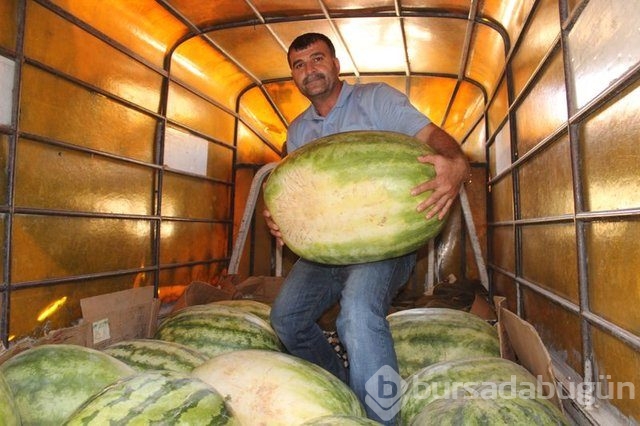 İşte yaşamınızı kolaylaştıracak çözümler! 