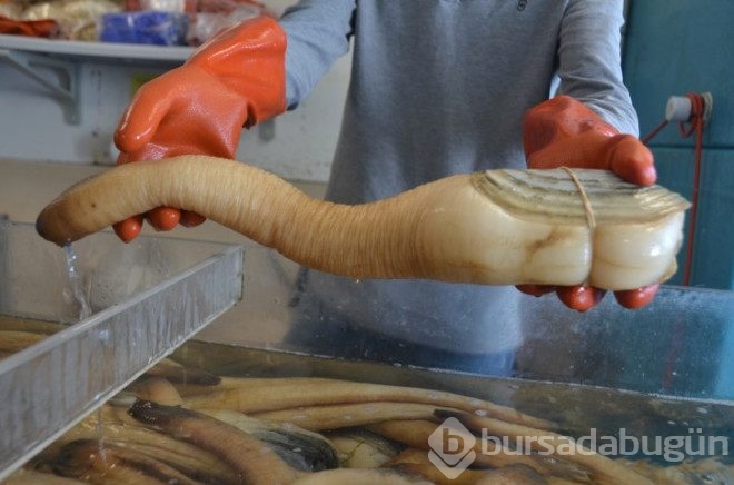 Dünyanın en tuhaf yiyeceğinin fiyatı dudak uçuklatıyor! 