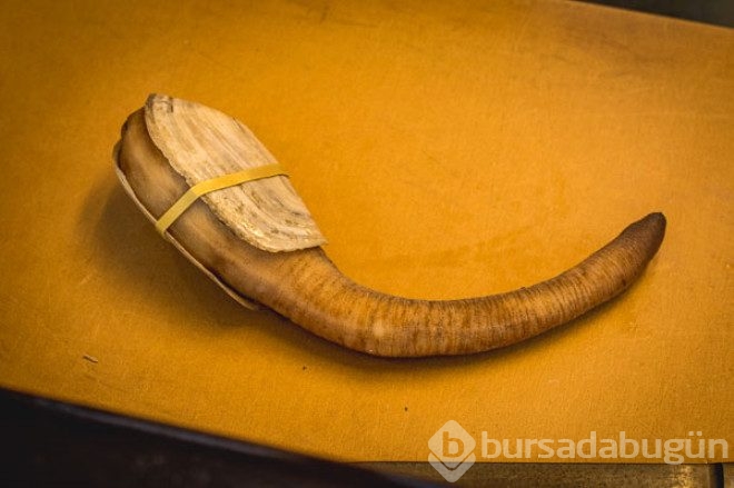 Dünyanın en tuhaf yiyeceğinin fiyatı dudak uçuklatıyor! 