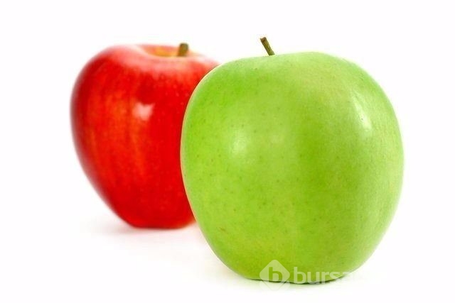 En sağlıklı besinler hangileri?