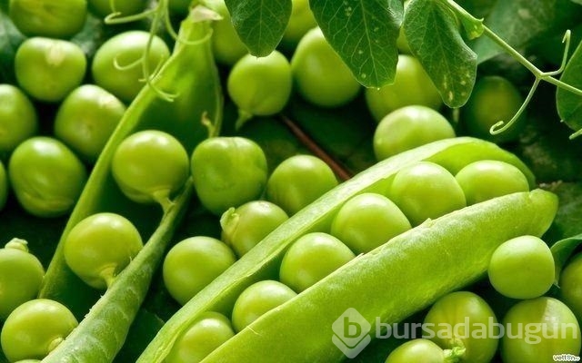 En sağlıklı besinler hangileri?