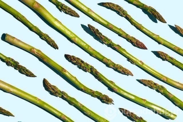 En sağlıklı besinler hangileri?
