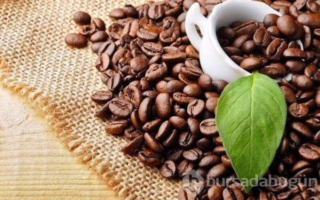 En sağlıklı besinler hangileri?