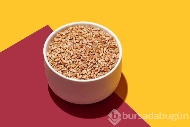 En sağlıklı besinler hangileri?