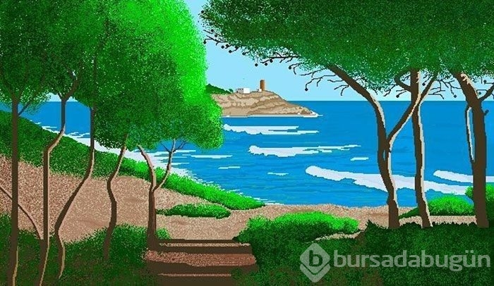 Paint'in sınırlarını zorlayarak 87 yaşında fenomen oldu