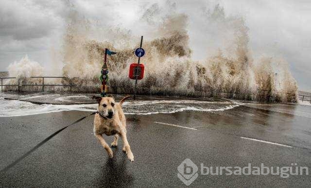 Günün en çok paylaşılan fotoğrafları
