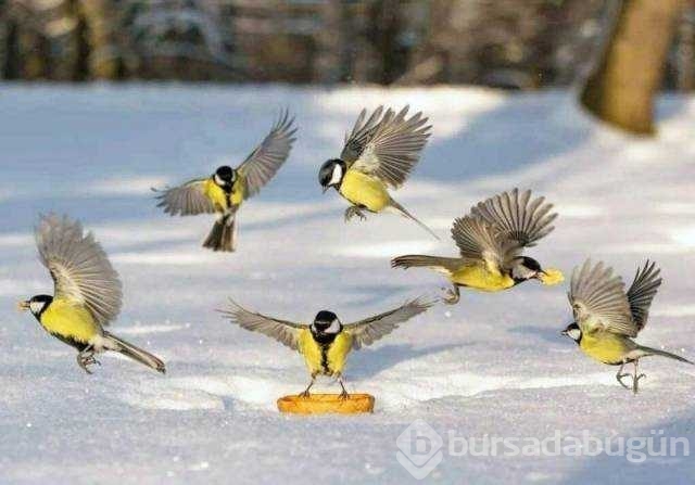 Günün en çok paylaşılan fotoğrafları
