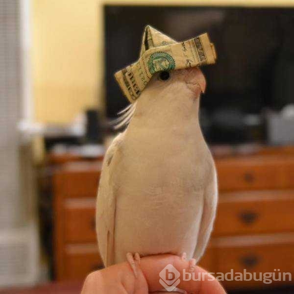 Günün en çok paylaşılan fotoğrafları
