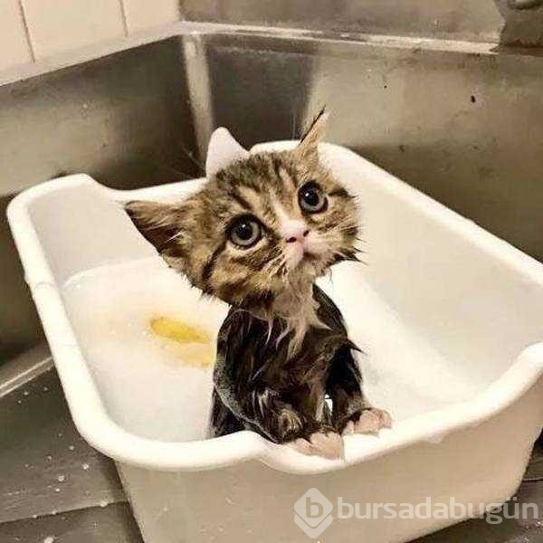 Günün en çok paylaşılan fotoğrafları
