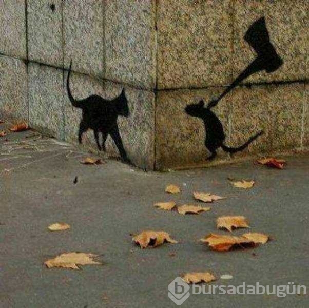 Günün en çok paylaşılan fotoğrafları
