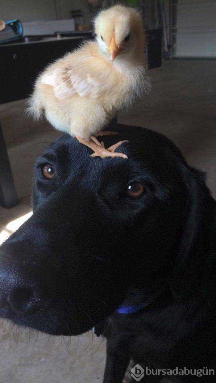 Günün en çok paylaşılan fotoğrafları
