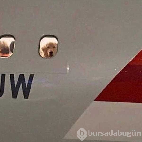Günün en çok paylaşılan fotoğrafları
