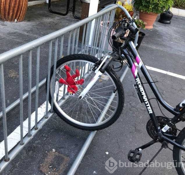 Günün en çok paylaşılan fotoğrafları
