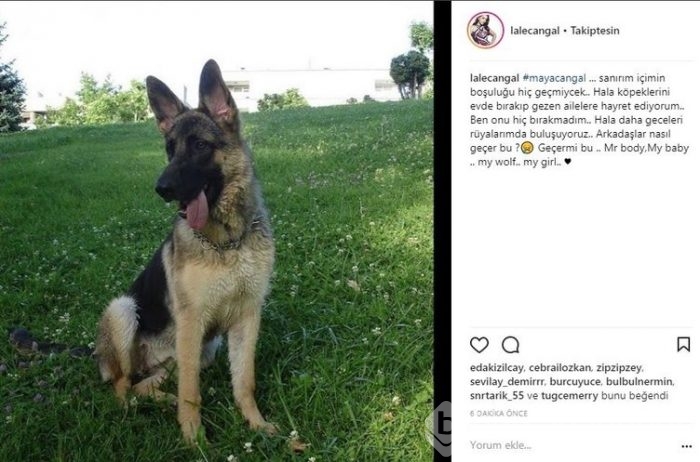 Ünlülerin Instagram paylaşımları (21.03.2018)
