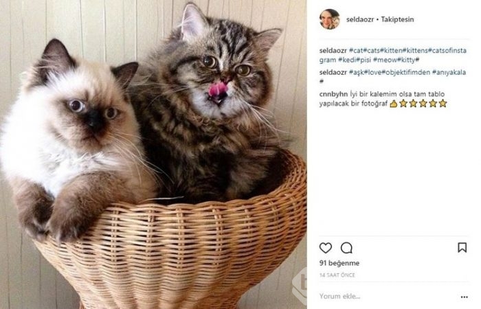 Ünlülerin Instagram paylaşımları (21.03.2018)
