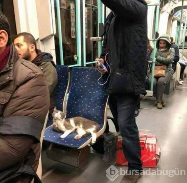 Günün en çok paylaşılan fotoğrafları