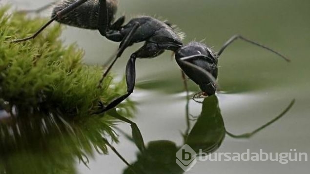 Günün en çok paylaşılan fotoğrafları