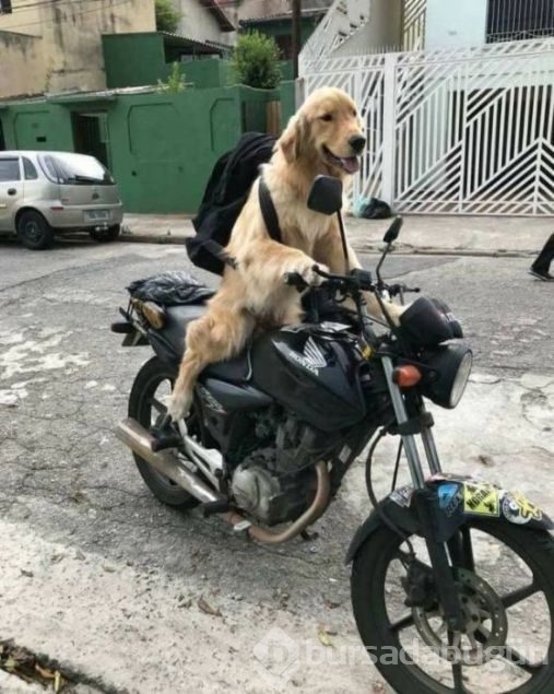 Günün en çok paylaşılan fotoğrafları