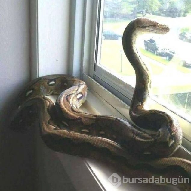 Günün en çok paylaşılan fotoğrafları