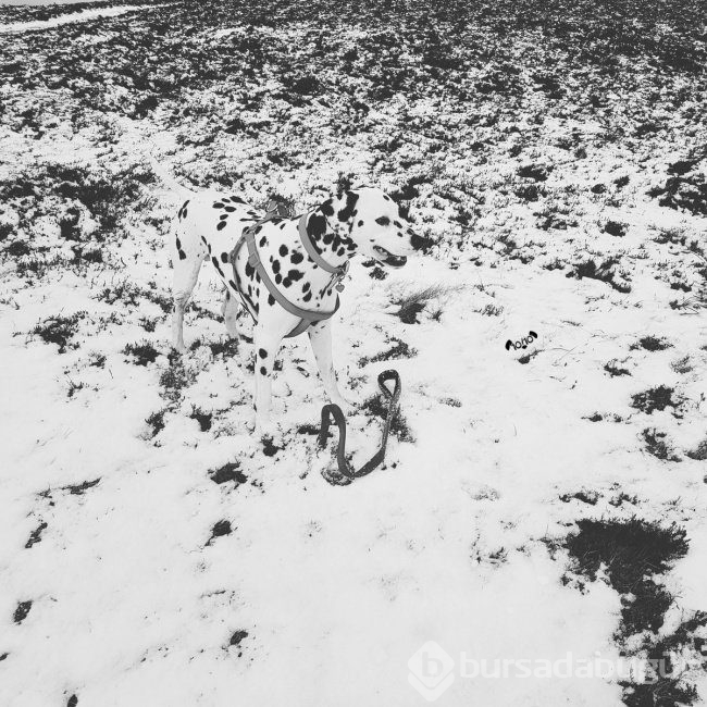 Bu fotoğraflara bir defa bakmak yetmiyor! 