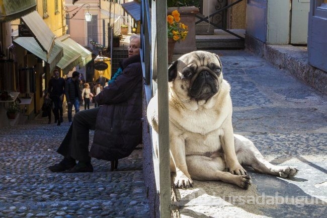 Bu fotoğraflara bir defa bakmak yetmiyor! 