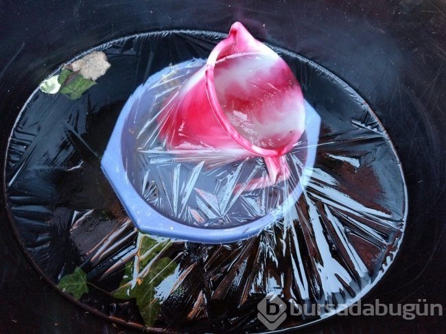 Bu fotoğraflara bir defa bakmak yetmiyor! 