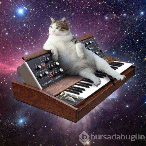 Günün en çok paylaşılan fotoğrafları! 