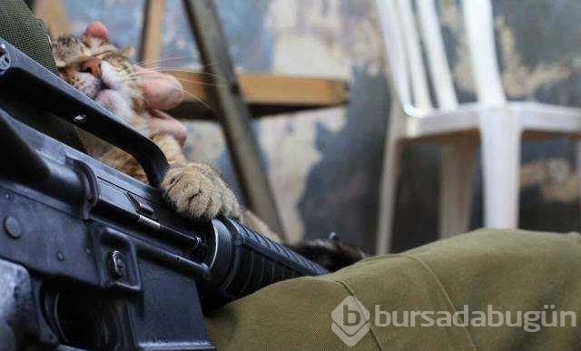 Günün en çok paylaşılan fotoğrafları! 