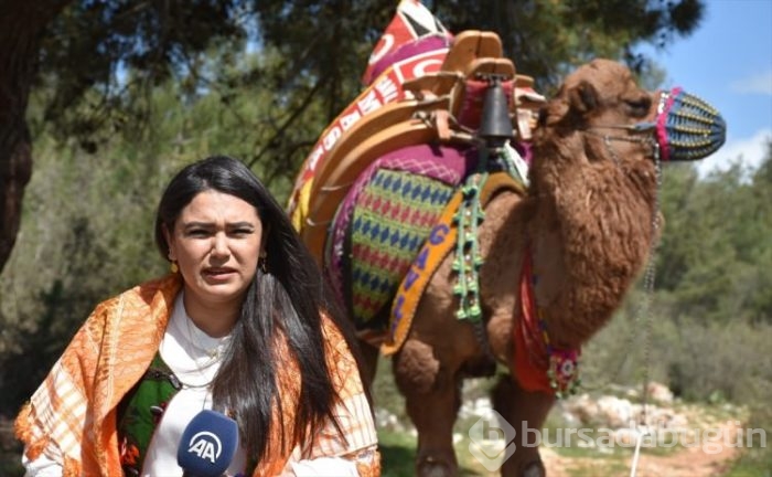 Bodrum'un deveci kadınları! 