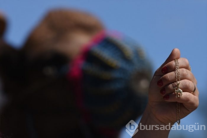 Bodrum'un deveci kadınları! 