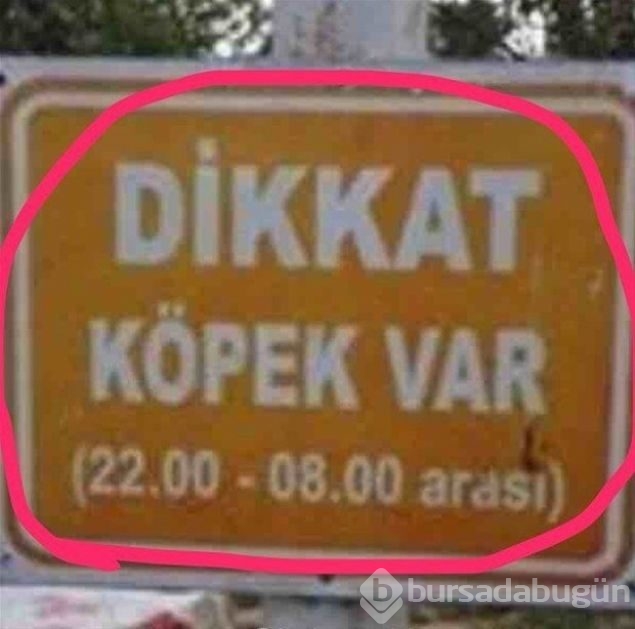 Esnaf tabelaları görenleri kırdı geçirdi! 