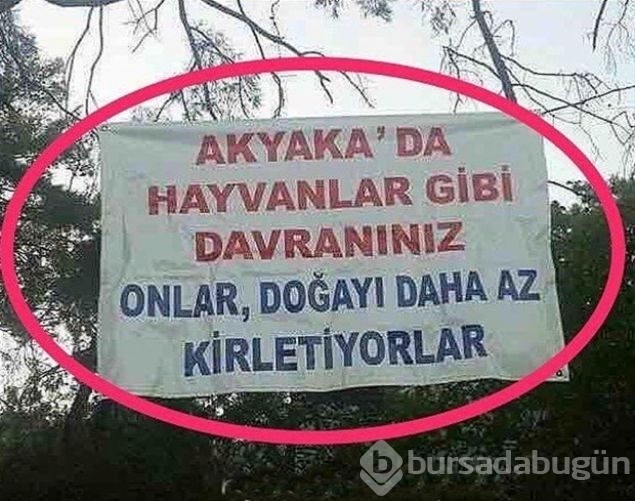 Esnaf tabelaları görenleri kırdı geçirdi! 