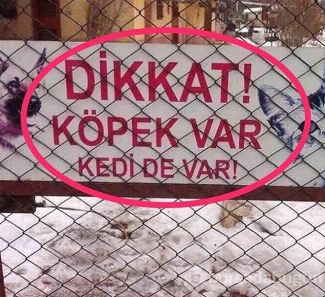 Esnaf tabelaları görenleri kırdı geçirdi! 