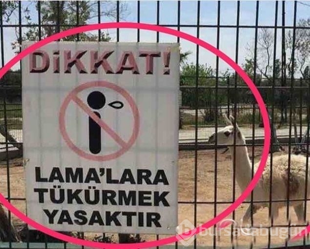 Esnaf tabelaları görenleri kırdı geçirdi! 