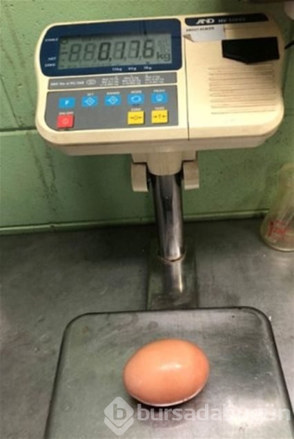 Balığın midesinden öyle bir şey çıktı ki...