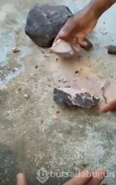 Balığın midesinden öyle bir şey çıktı ki...