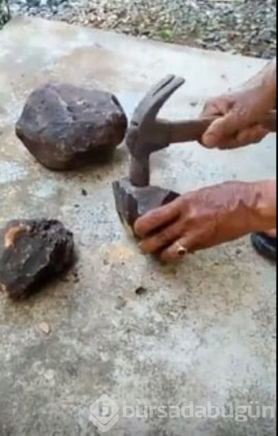 Balığın midesinden öyle bir şey çıktı ki...