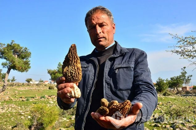 Herkes bunun peşinde! 