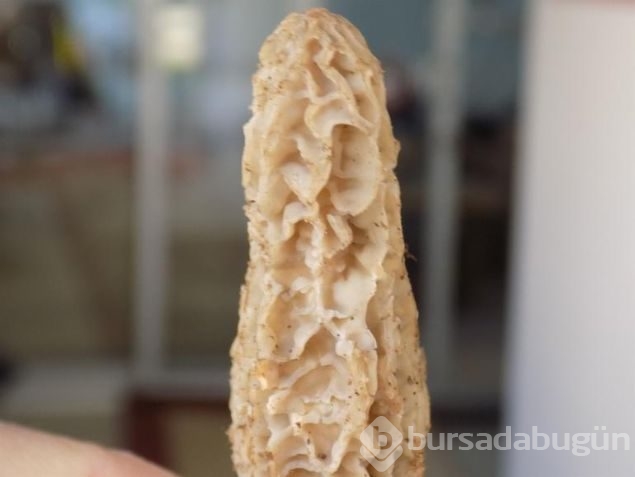 Herkes bunun peşinde! 