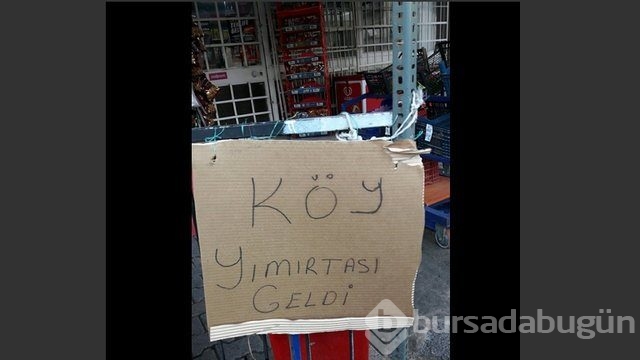 Yurdum insanının yaptığı yazım yanlışları! 
