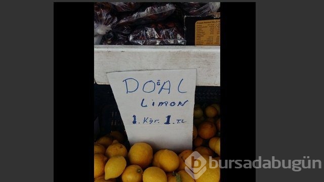 Yurdum insanının yaptığı yazım yanlışları! 