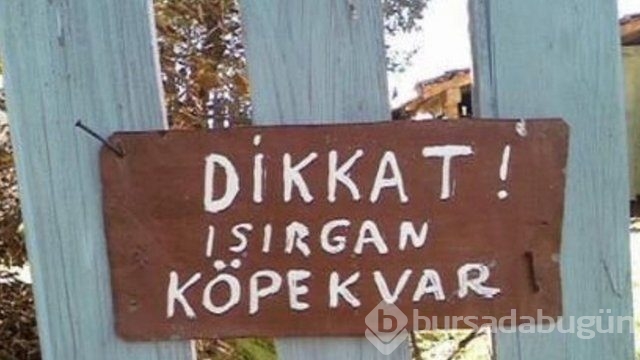 Yurdum insanının yaptığı yazım yanlışları! 