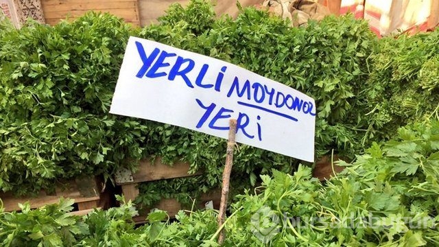 Yurdum insanının yaptığı yazım yanlışları! 