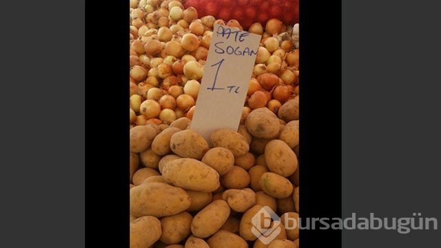 Yurdum insanının yaptığı yazım yanlışları! 