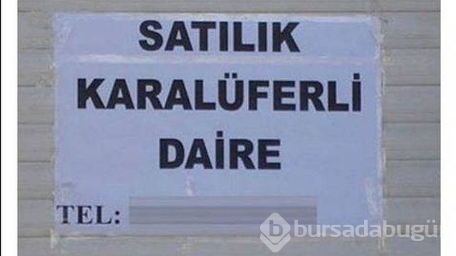 Yurdum insanının yaptığı yazım yanlışları! 