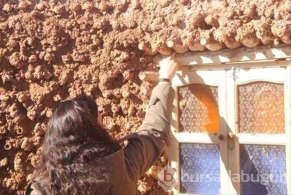 Pet şişelerle öyle birşey yaptı ki! 