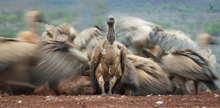 Fotoğraflar şok etti! 